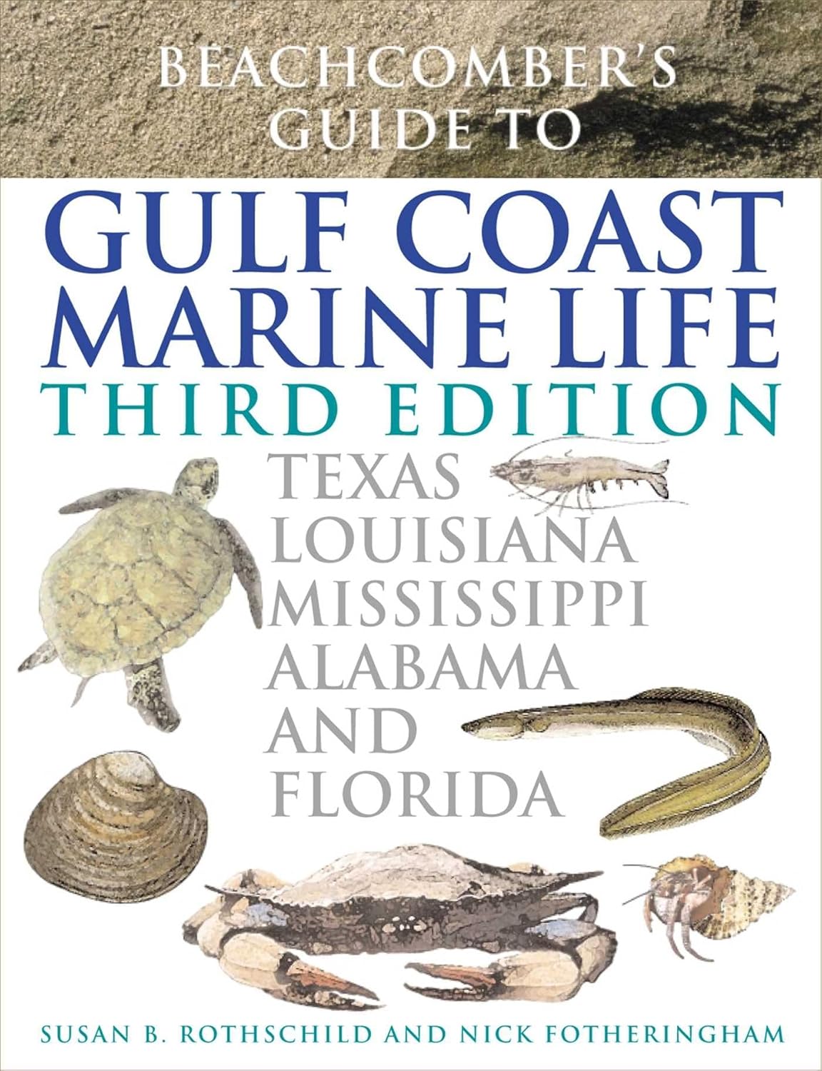 Cover of Beachcomber's Guide to Gulf Coast Marine Life