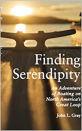 Cover of Finding Serendipity